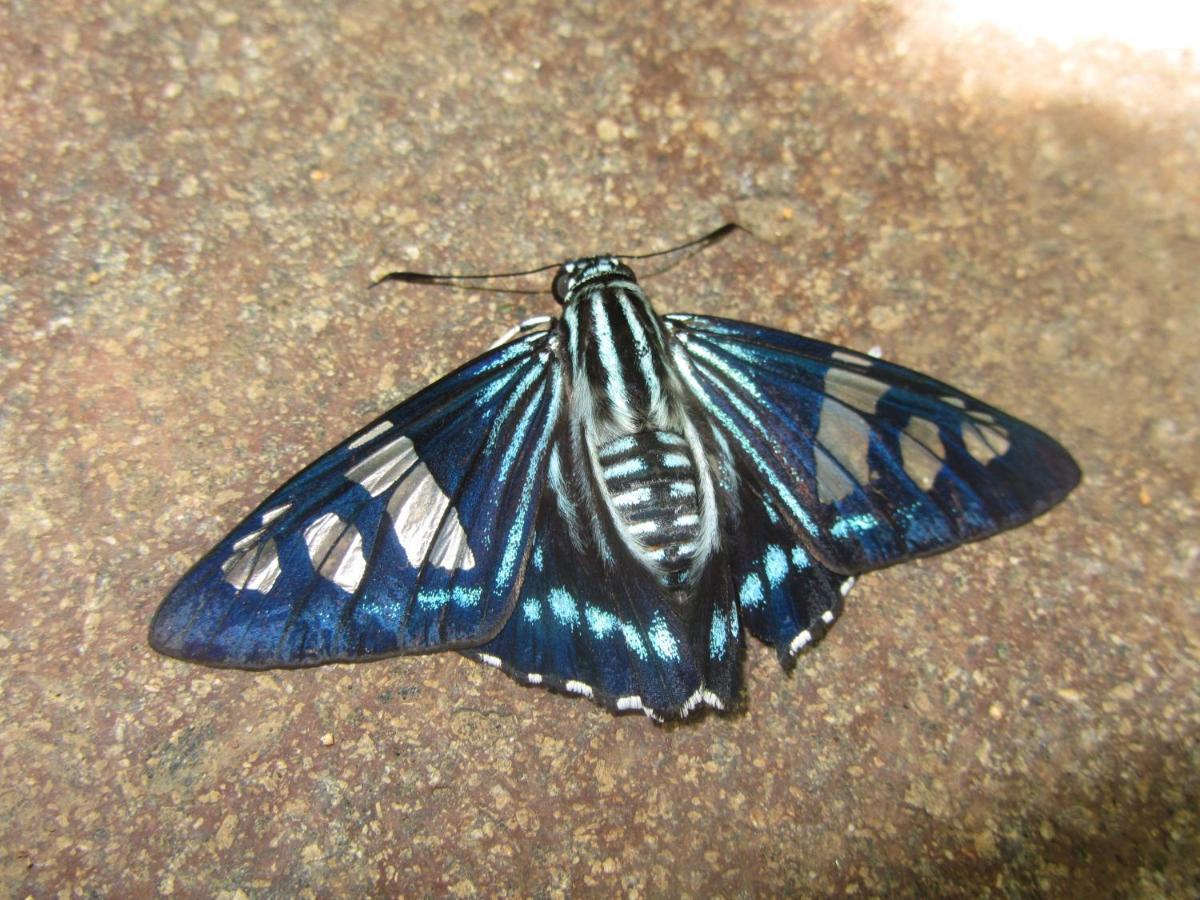 La Laguna San Simian Lodge מראה חיצוני תמונה